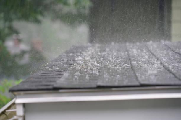 Best Roof Maintenance and Cleaning  in Yates Center, KS